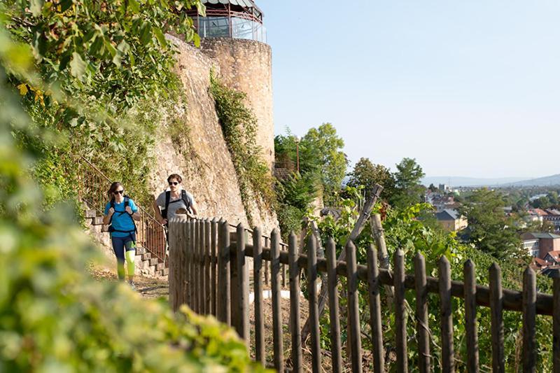 Landhotel Kauzenberg Bad Kreuznach Dış mekan fotoğraf